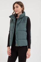 Load image into Gallery viewer, Snuggle Weather Vest | Hunter