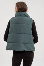 Load image into Gallery viewer, Snuggle Weather Vest | Hunter